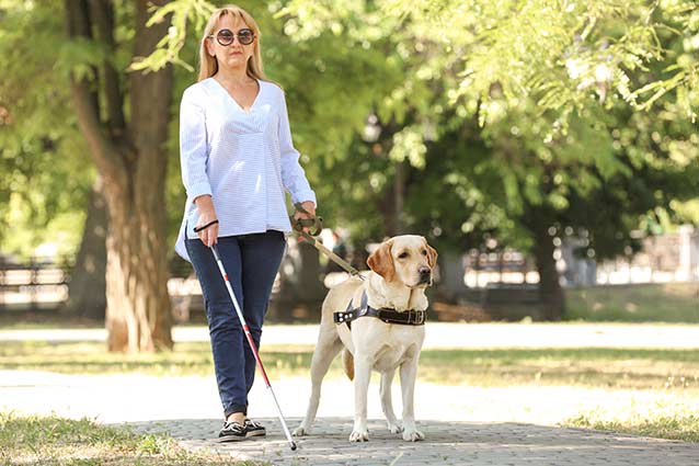 image of blind woman walking dog